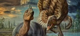 Smuggled dino eggs gave birth to 'baby dragons', says new research