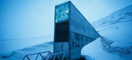 World's 'Doomsday' seed vault has been breached by climate change, Report