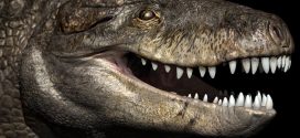 An Enormous crocodile was 24 feet long with teeth as sharp as a T-Rex's