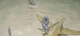 New Giant Necked Sea Monster Identified In Germany