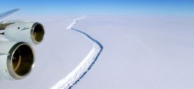 Giant Antarctic Iceberg's Split Reveals Ecosystem Hidden for Thousands of Years