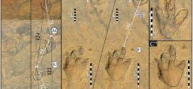 Scientists find ‘first for Africa’ dinosaur footprints in Lesotho