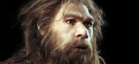 Scientists shed light on Neanderthals' legacy in humans