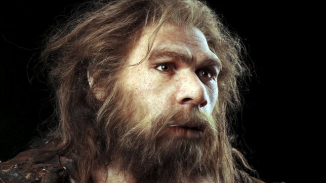 scientists shed light on neanderthals' legacy in humans