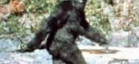 The "First Recorded" Evidence Of Big Foot Is 50 Year Old